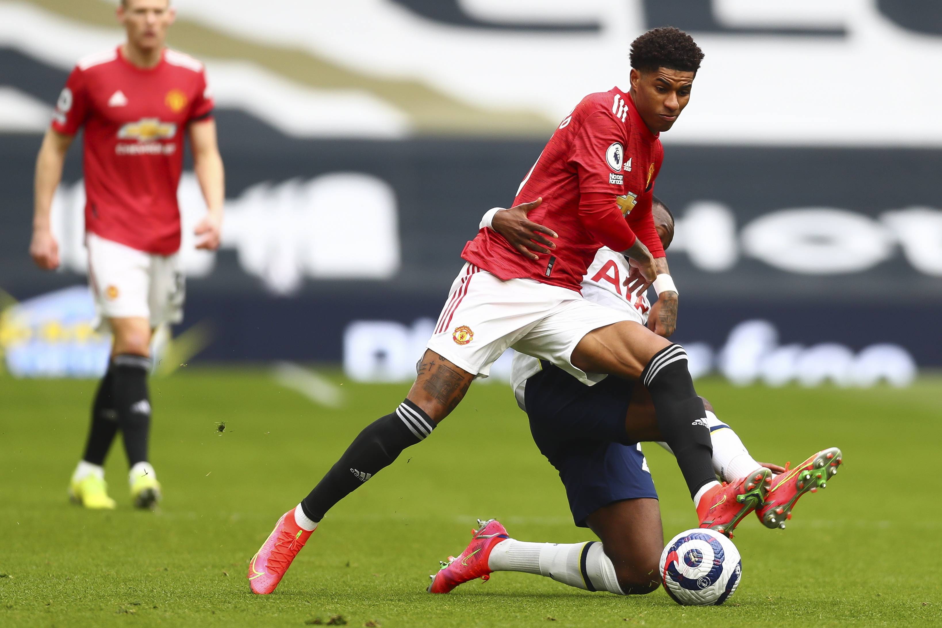 引进丹朱马 引进丹朱马